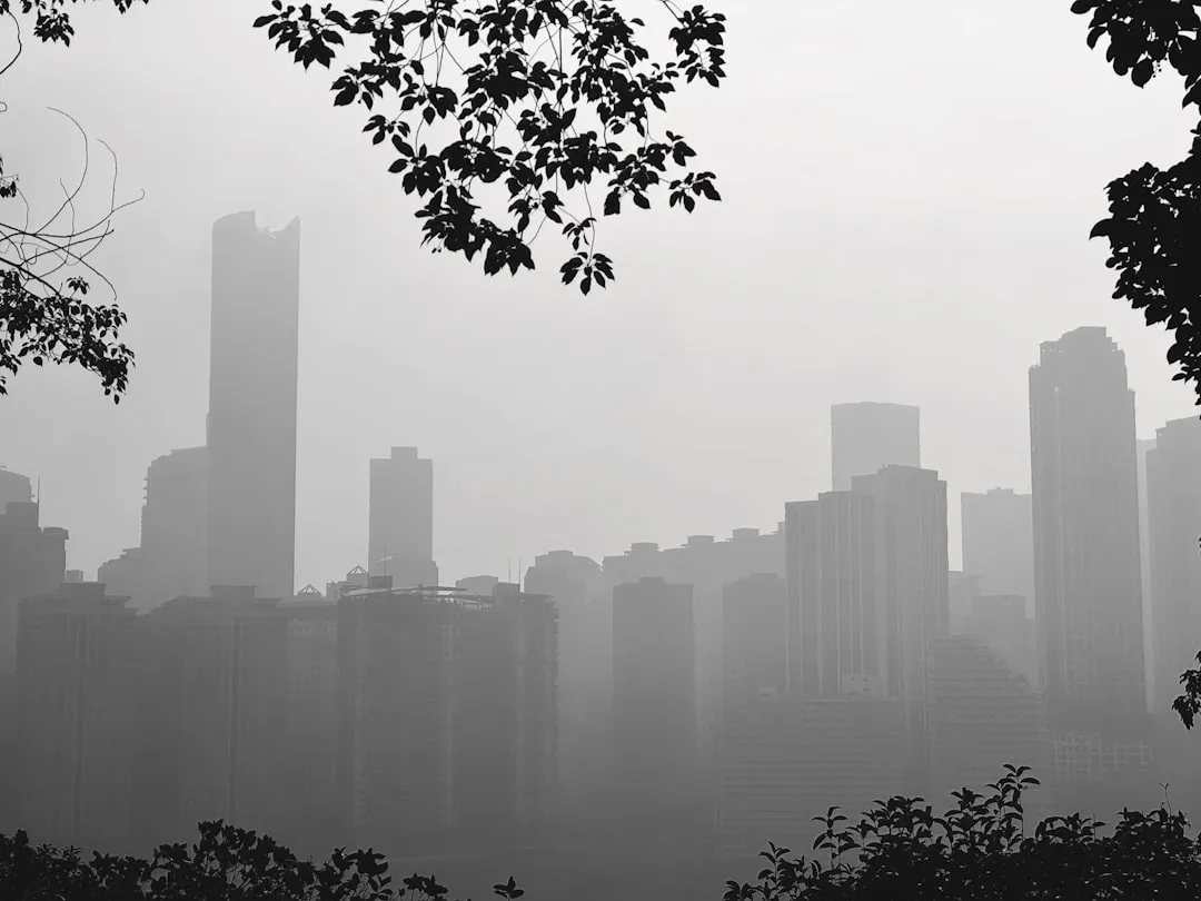 移动端软件光盘与H5应用软件：企业移动化部署的技术选型解析